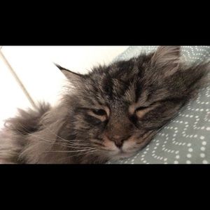 Meet your Posher, Sabrina